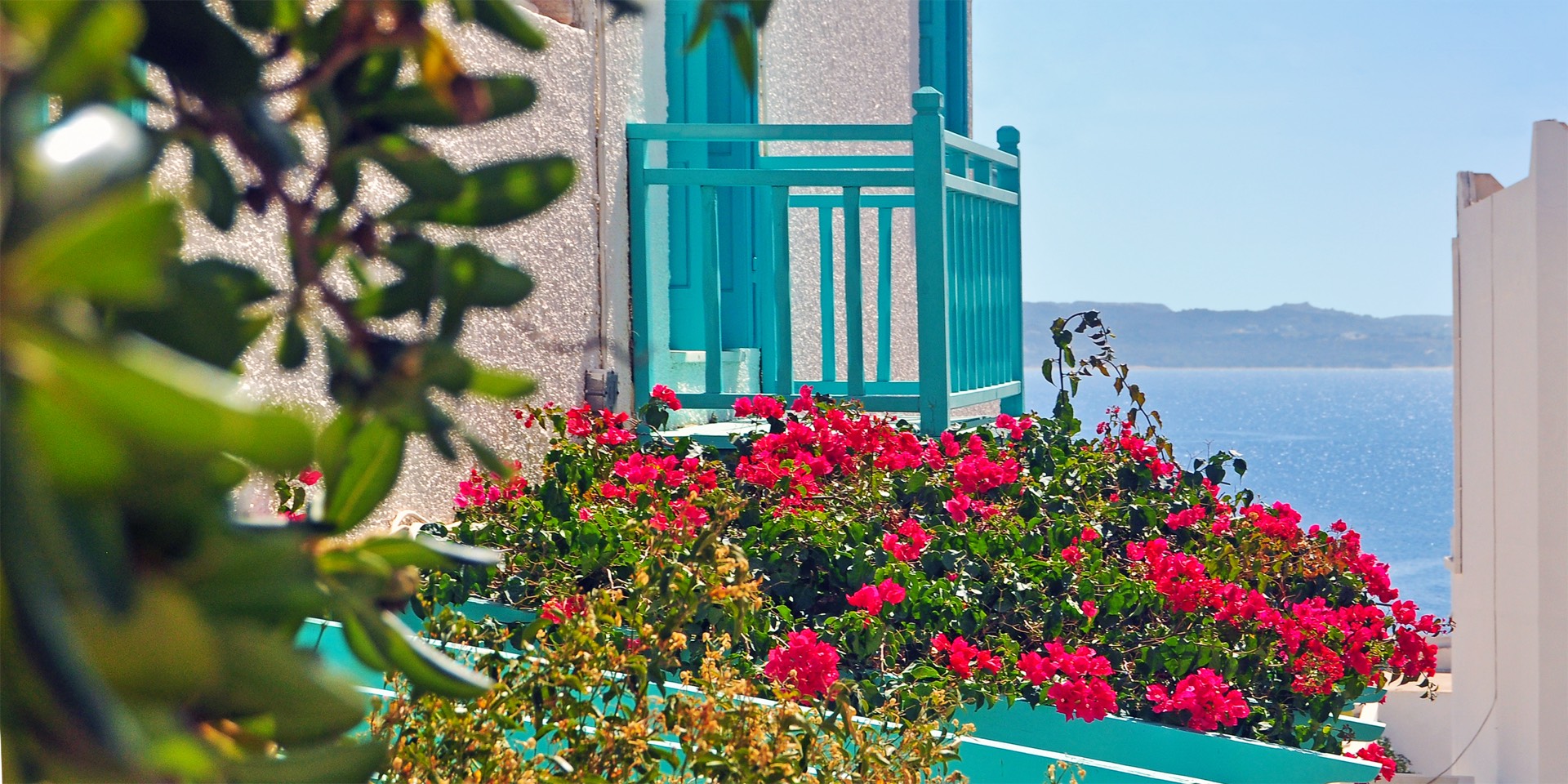 Seagull Apartments - Bougailvillea and sea view